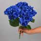 Bouquet d'Hortensia