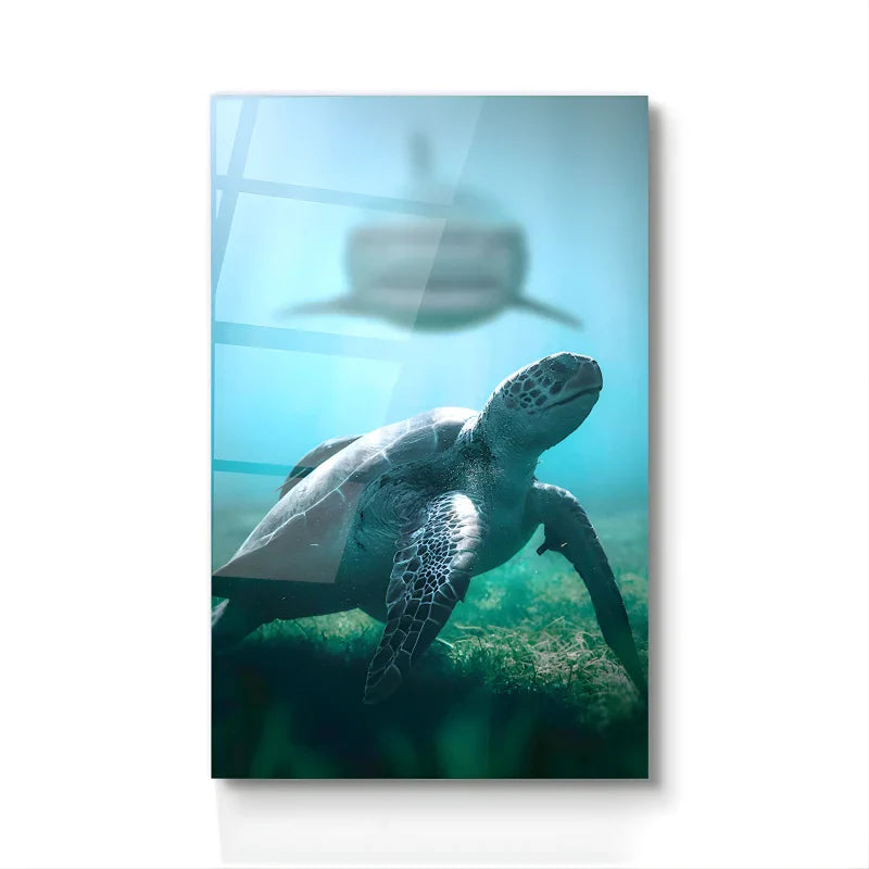 Tableau  BAIE DES TORTUES