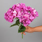 Bouquet d'Hortensia