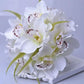 Cymbidium