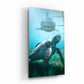 Tableau  BAIE DES TORTUES